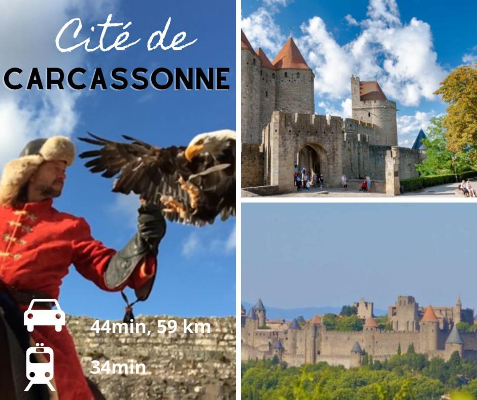 Le Spacieux Anatole, T3 Bis, Centre Ville นาร์บอนน์ ภายนอก รูปภาพ